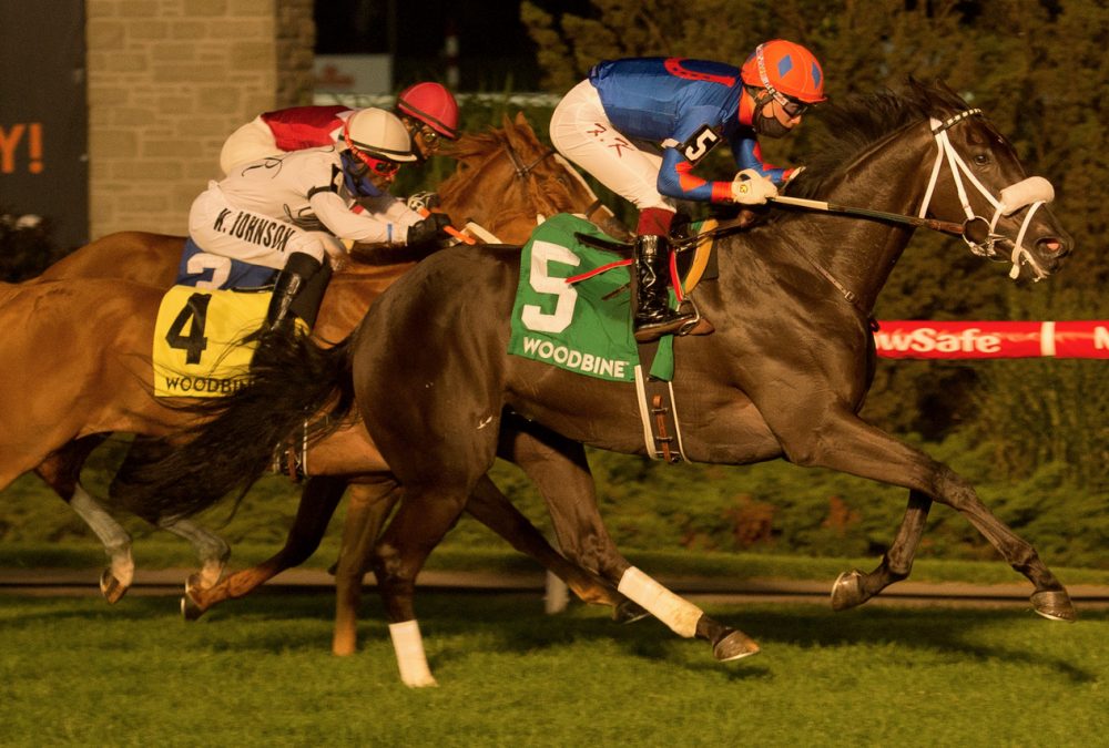 Swinging Mandy / Woodbine / Michael Burns Photo