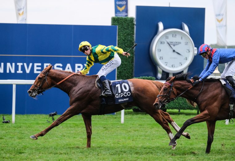 Sealiway - QIPCO Champion Stakes - Ascot Racecourse - photo credit Ascot