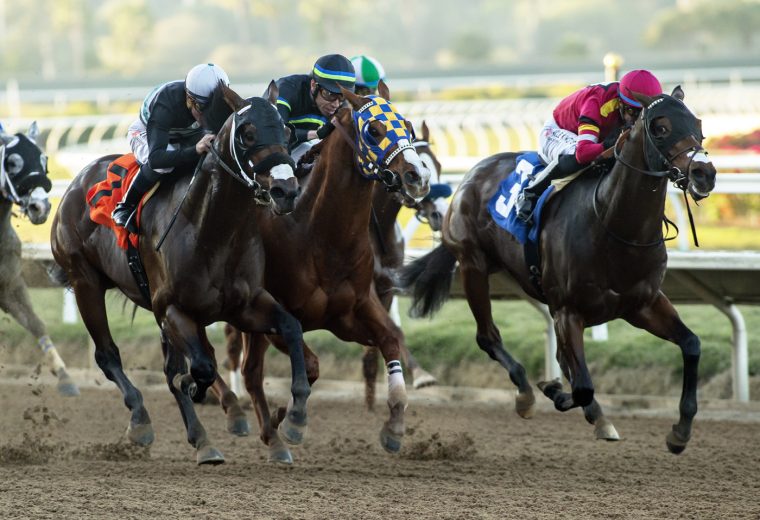 Principe Carlo and jockey Kent Desormeaux, left, overpower Positivity (Juan Hernandez), right, and Colt Fiction (Geovanni Franco), middle, to win the $100,000 Cary Grant Stakes, Sunday, November 21, 2021 at Del Mar Thoroughbred Club, Del Mar CA. © BENOIT PHOTO