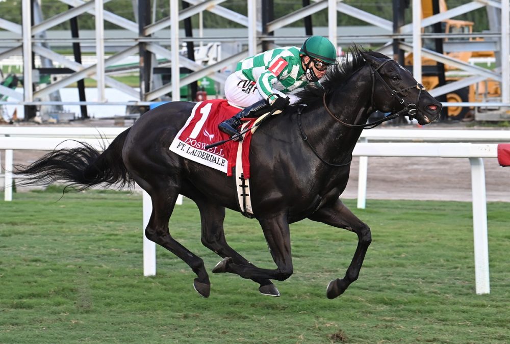Doswell the Fort Lauderdale - Coglianese Photo
