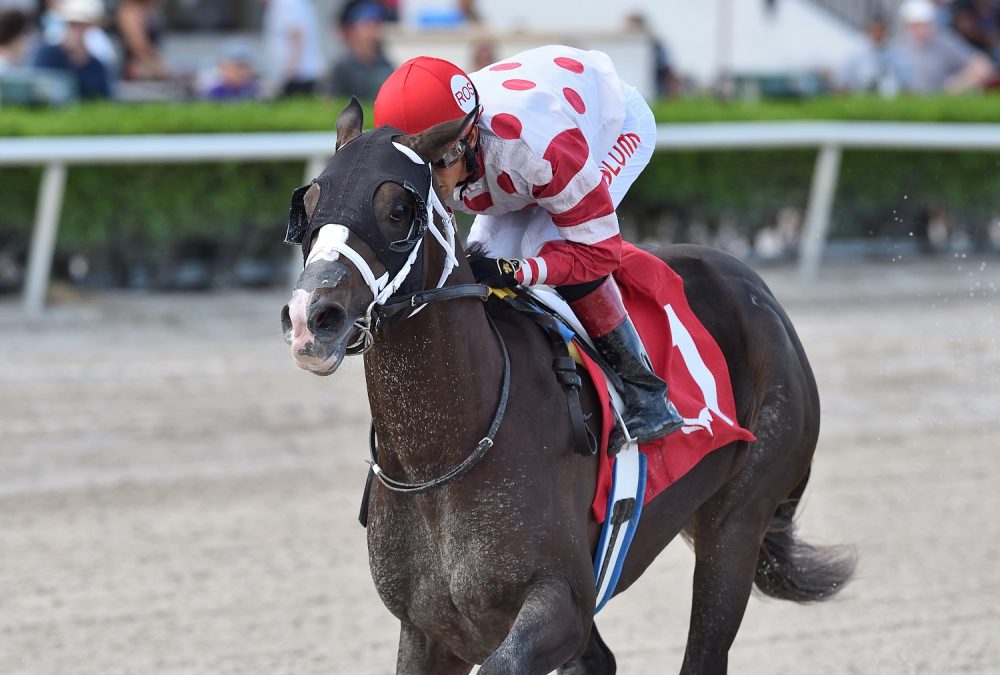 Make It Big the Ocala Stud Juve Sprint credit Ryan Thompson