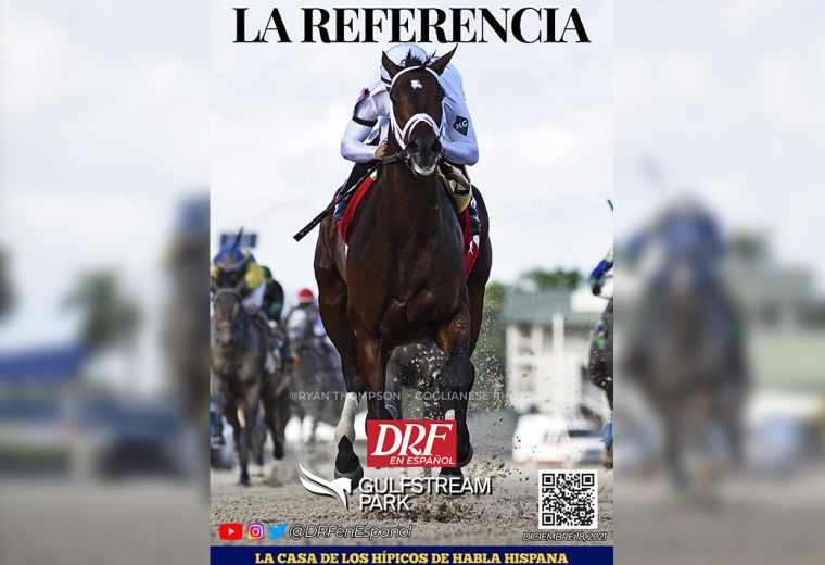 La Referencia - Diciembre 18