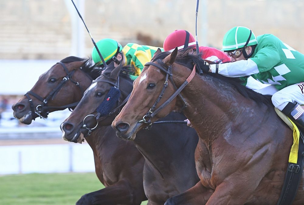 Dead Heat--Another Mystery--Fantasioso - John B Connally Turf Cup - Coady Photo