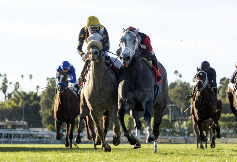 Zero Tolerance and jockey Flavien Prat, right, overpower Tapwater (Joe Bravo), left, to win the Grade III, $100,000 Las Cienegas Stakes, Sunday, January 9, 2022 at Santa Anita Park, Arcadia CA. © BENOIT PHOTO