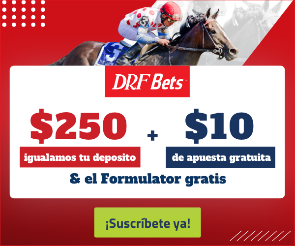drf-bets-offer-formulator-espanol-email-slice