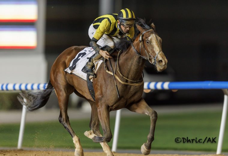 Shahama - Photo Dubai Racing Club/Abdulla Khalifa