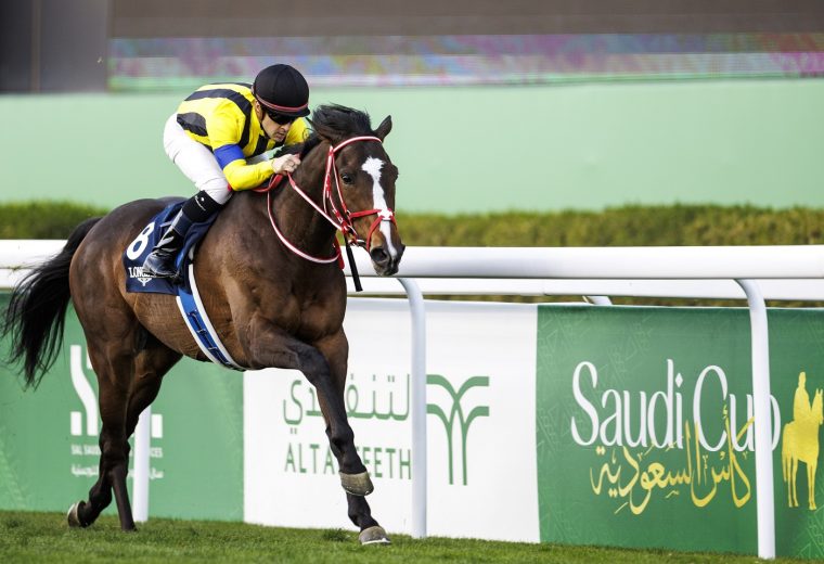 Stay Foolish - Jockey Club of Saudi Arabia Douglas de Felice