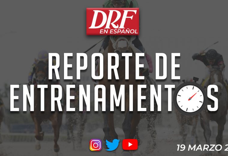 Reporte de Entrenamientos / Marzo 19