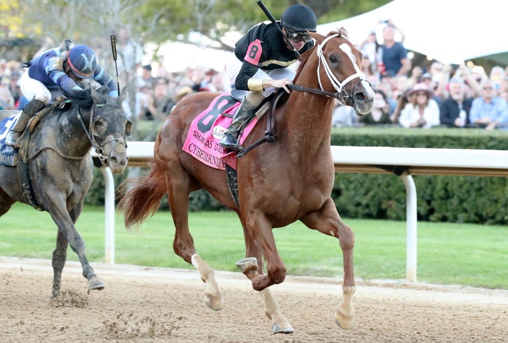 CYBERKNIFE - The Arkansas Derby G1 - 86th Running - Coady Photo