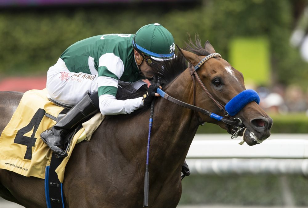 Bran and jockey Juan Hernandez win the Grade III, $100,000 Daytona Stakes, Sunday, May 29, 2022 at Santa Anita Park, Arcadia CA. © BENOIT PHOTO