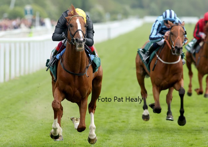 Stradivarius - Paddy Power Yorkshire Cup Stakes - Foto Pat Healy