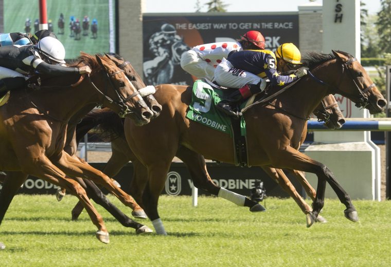 Toronto On June 4, 2022.Woodbine Racetrack.Jockey Rafael Hernandez (yellow and blue silks #5) guides Boardroom to victory in the $175,000 (Grade II) Royal North Stakes for owner LNJ Foxwoods and trainer Josie Carroll.Boardroom covered the 6 1/2 Furl in 1.13.2 over the E.P.Taylor turf Course. Woodbine/ Michael Burns Photo