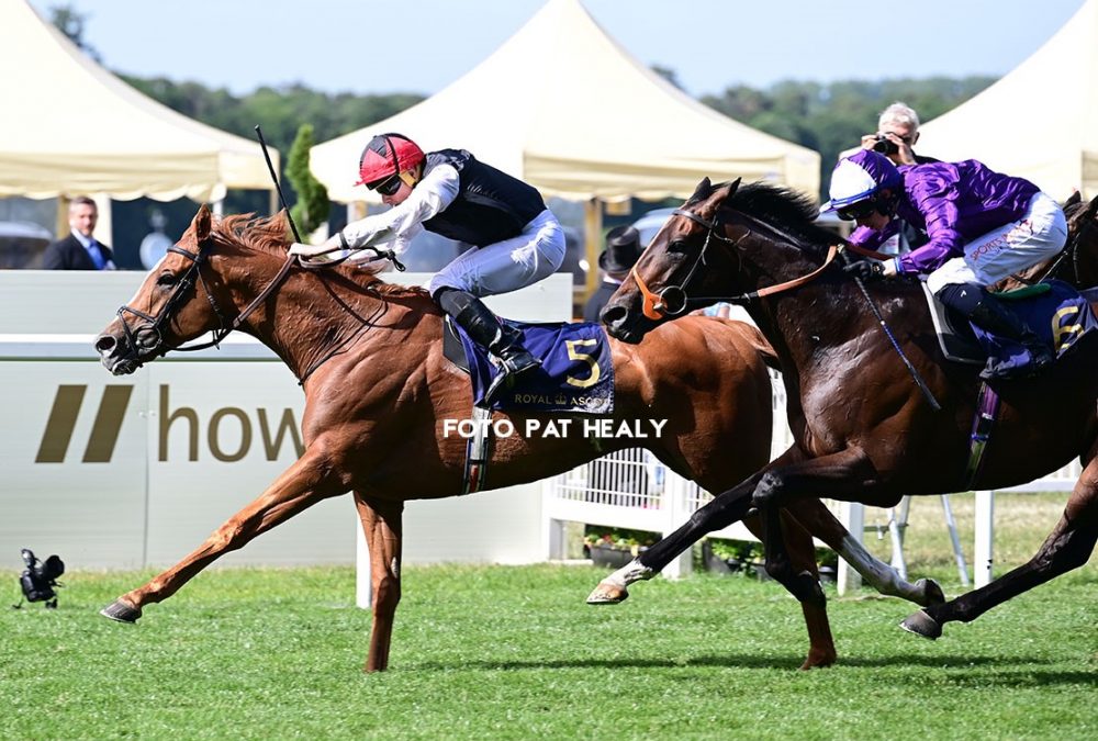 Kyprios Royal Ascot - Pat Healy