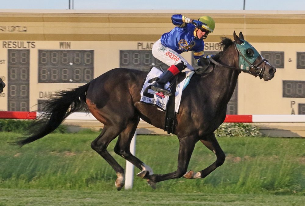 Wow Whata Summer - Penn Mile - Bill Denver/EQUI-PHOTO