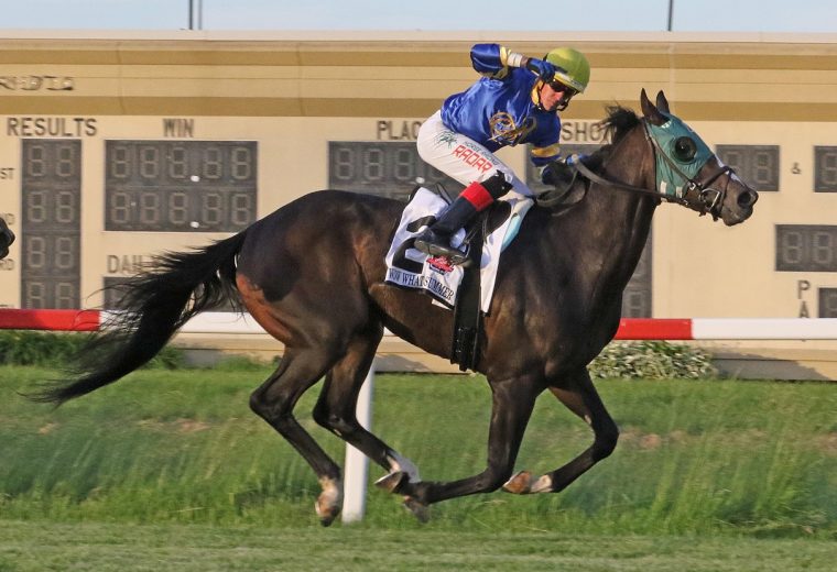 Wow Whata Summer - Penn Mile - Bill Denver/EQUI-PHOTO