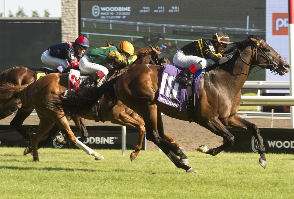 .Woodbine Racetrack.Jockey Pablo Morales guides Bound for Nowhere to victory in the $200,000 dollar Highlander Stakes at Woodbine for owner and trainer Wesley A. Ward. Woodbine/ Michael Burns Photo