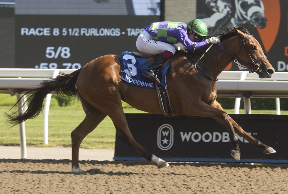 Collecting Flatter (rail #3 green cap) outduels stablemate #4 (L) Speedy River to victory in the $125,000 dollar My Dear Stakes.Collecting Flatter is owned by Ivan Dalos and trained by Josie Carroll.Woodbine/ Michael Burns Photo