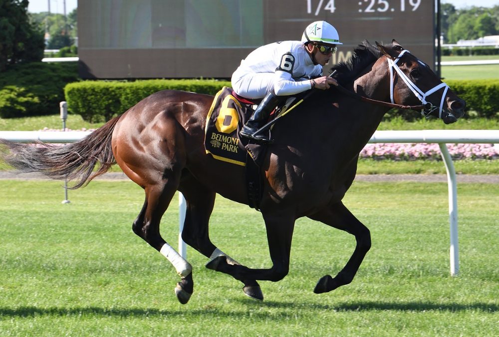 Emmanuel The Pennine Ridge - Coglianese photo