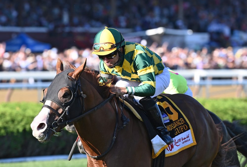 Gufo the Sword Dancer credit Chelsea Durand - Coglianese Photo