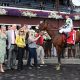 Isolate - Tale Of The Cat S - Coglianese Photo