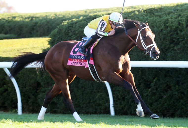 ANNAPOLIS - The Coolmore Turf Mile G1 - 37th Running - Coady Photo - Keeneland