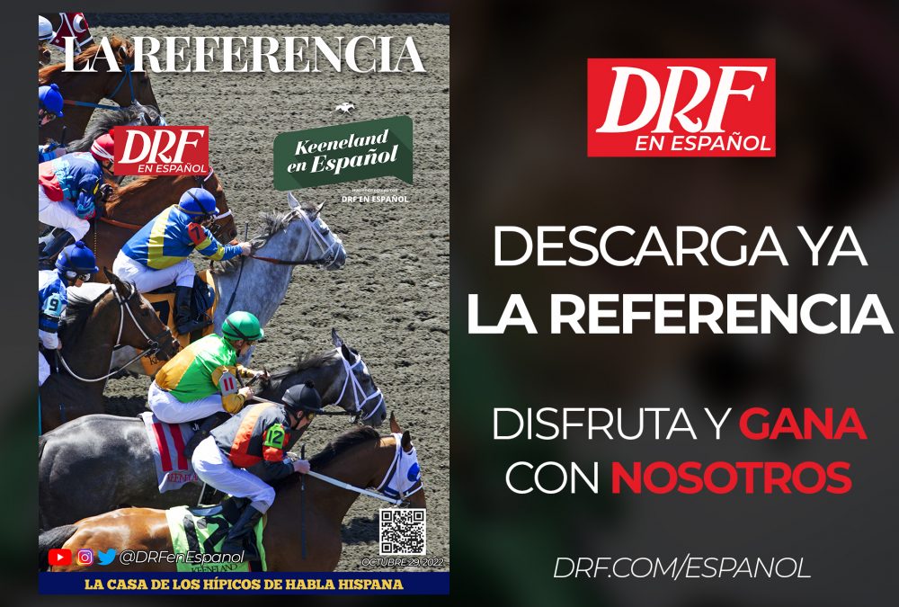 La Referencia - KEE - Oct29