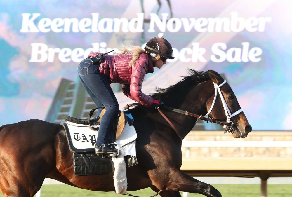 Life is Good - Work - Keeneland - Coady Photo