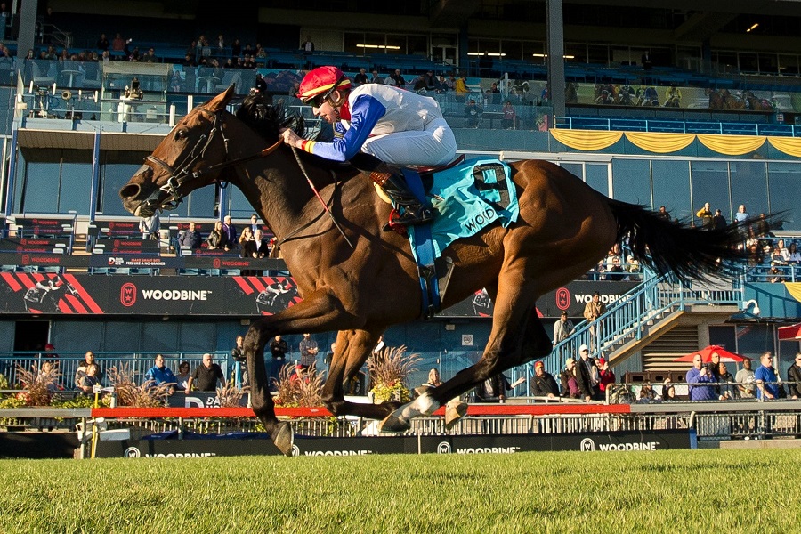 Sir for Sure - Breeders Stakes 2022 - Michael Burns