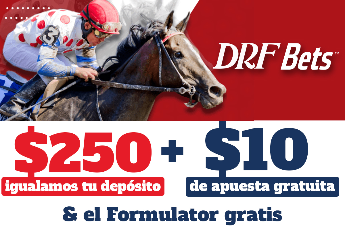 DRFBETS