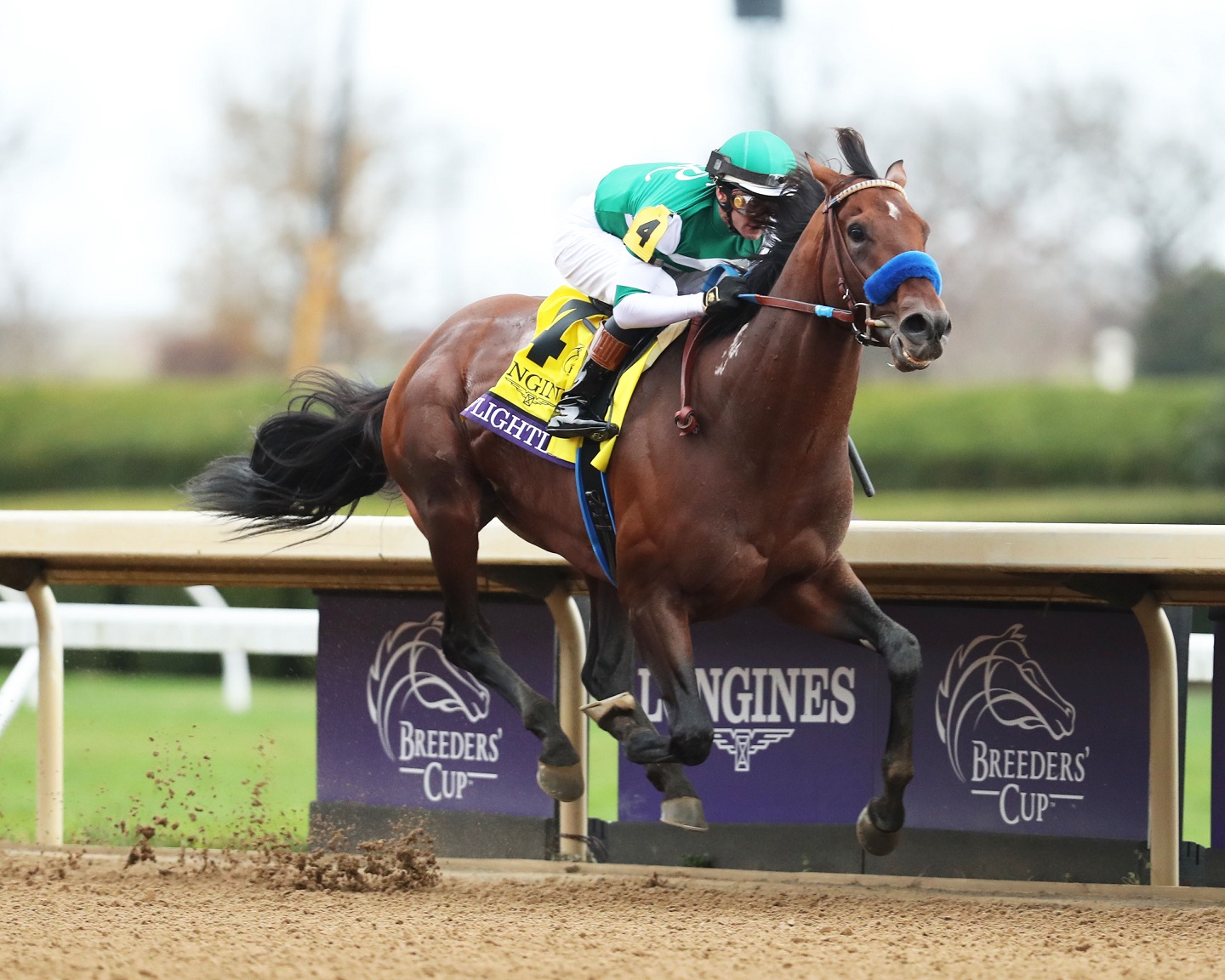 FLIGHTLINE - Longines Breeders' Cup Classic G1 - 39th Running - Coaady Photo