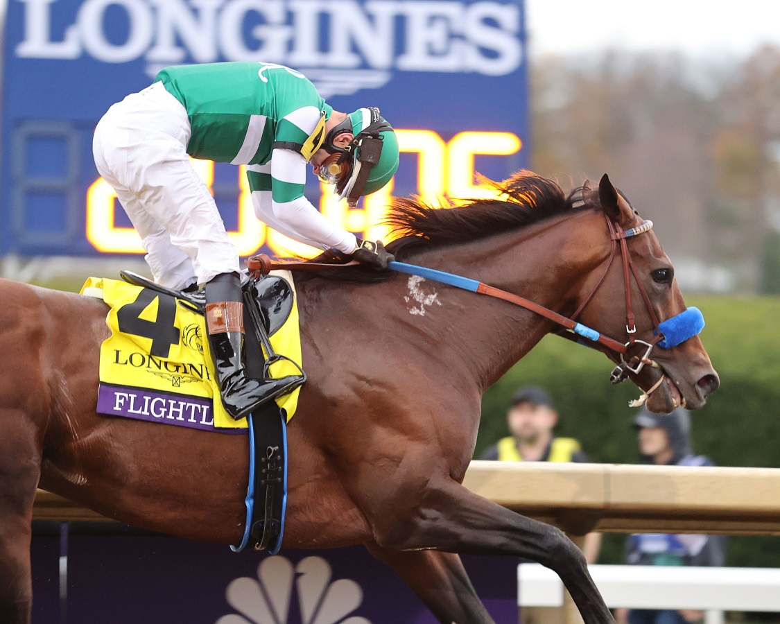Flightline - BC Classic - Coady Photography