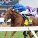Modern Games - BC Mile - Coady Photography