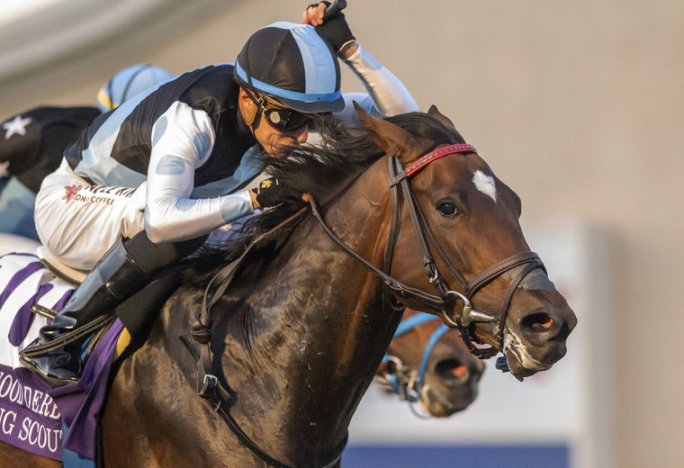 Speaking Scout - Hollywood Derby G1 - Benoit Photo