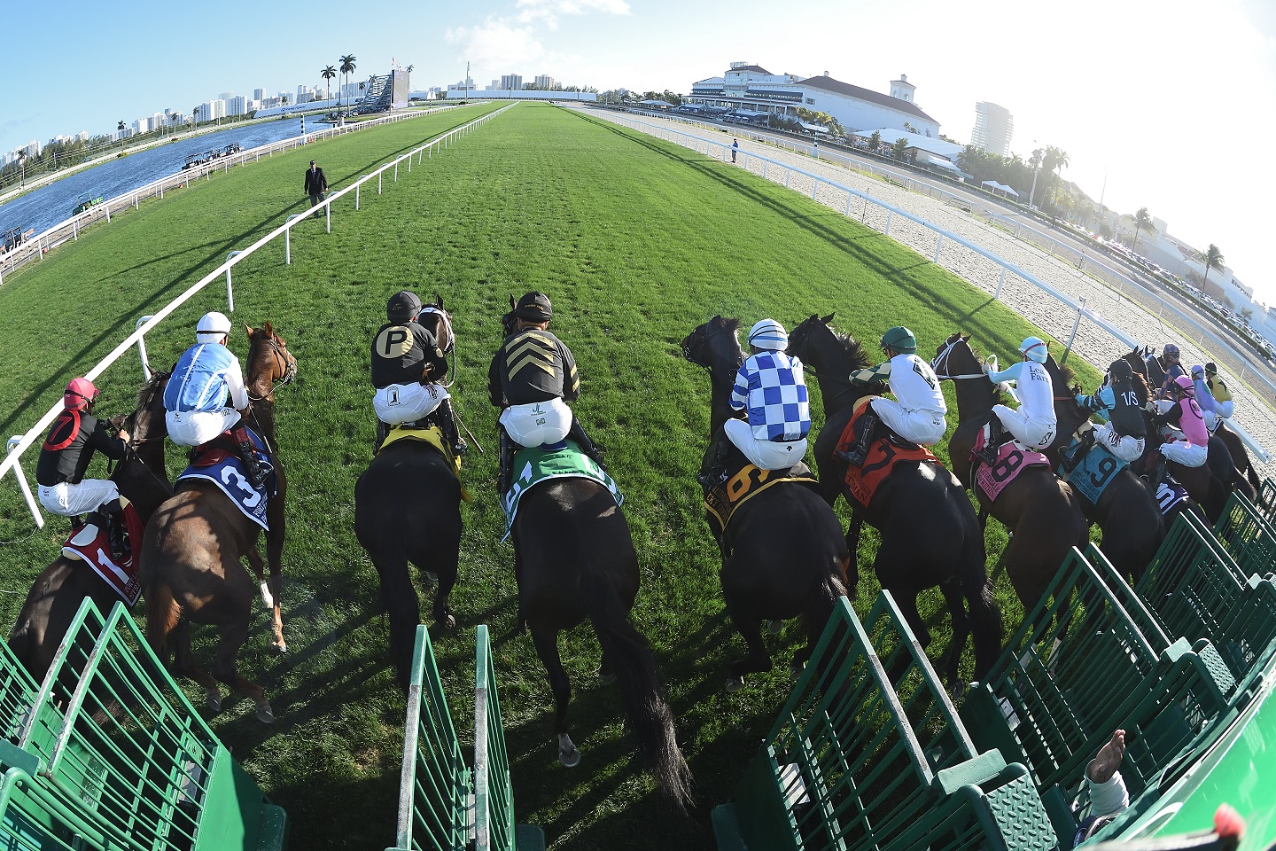 Gulfstream Park - Coglianese Photo