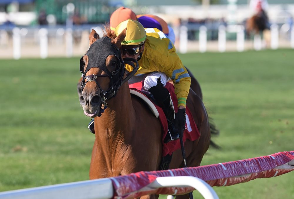 Candidate the Dania Beach credit Ryan Thompson - Coglianese Photo