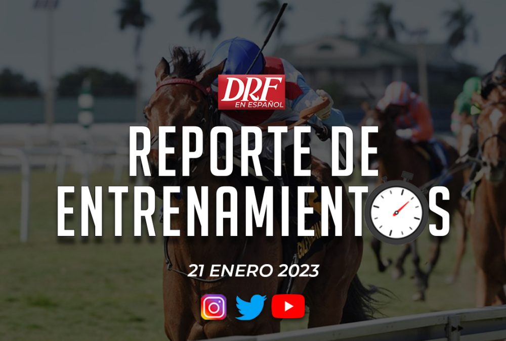 Reporte de Entrenamientos - Enero 21