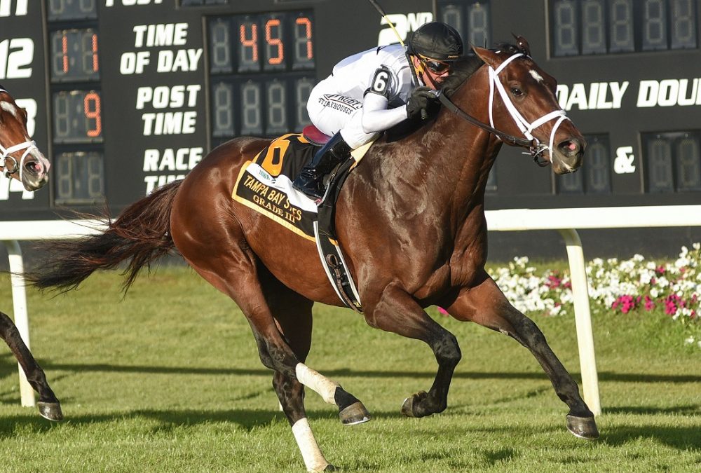 Emanuel Action - Tampa Bay Stakes - Photo SV Photography