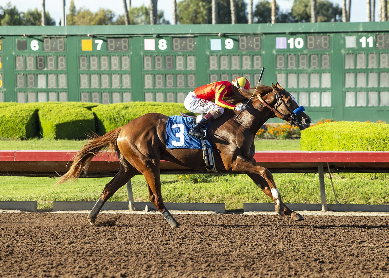 La Nómina Del Robert B. Lewis Stakes G3 Luce Bastante Equilibrada ...