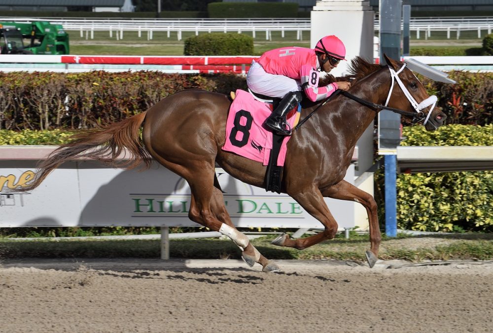 Pass the Champagne credit Lauren King - Coglianese Photo