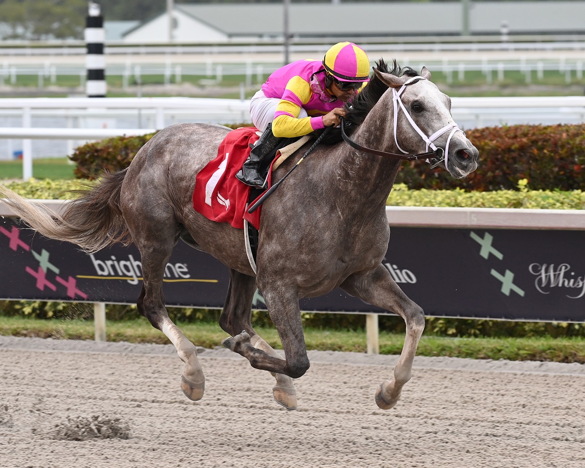 Tapit Trice partirá junto al riel en el Blue Grass Stakes G1 ...