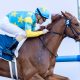 Derma Sotogake (Jpn) - Foto Dubai Racing Media