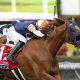 Gold Phoenix - Frank E Kilroe Mile G1 - Benoit Photo