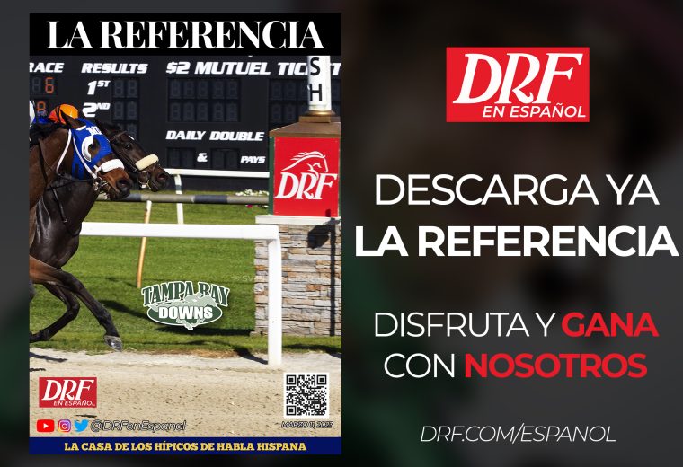 La Referencia - Marzo 11 - Tampa Bay Downs