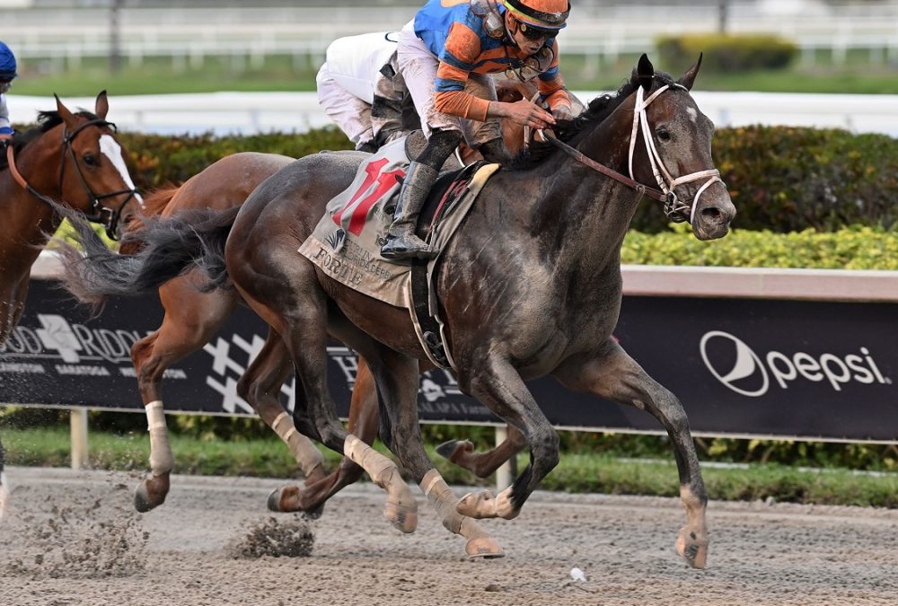 Forte - Florida Derby - Coglianese Photo