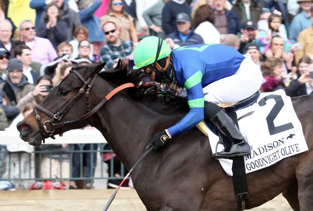 GOODNIGHT OLIVE - The Madison G1 - 22nd Running - 04-08-23 - R07 - Keeneland Race Course - Coady Photo