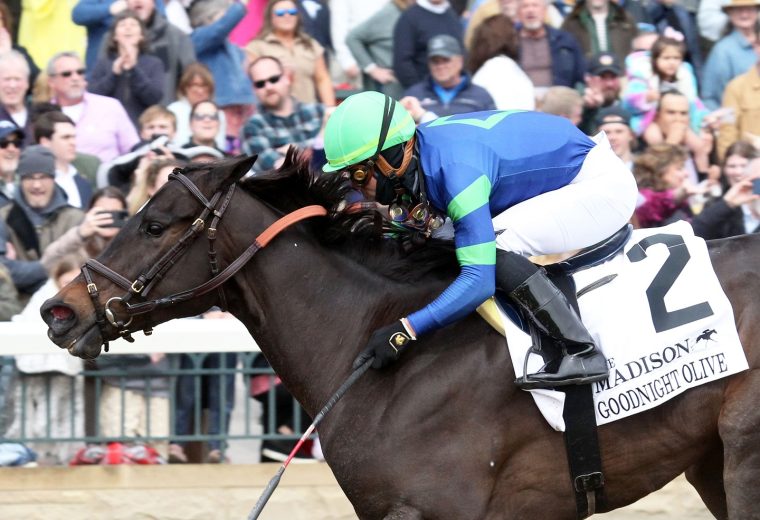 GOODNIGHT OLIVE - The Madison G1 - 22nd Running - 04-08-23 - R07 - Keeneland Race Course - Coady Photo