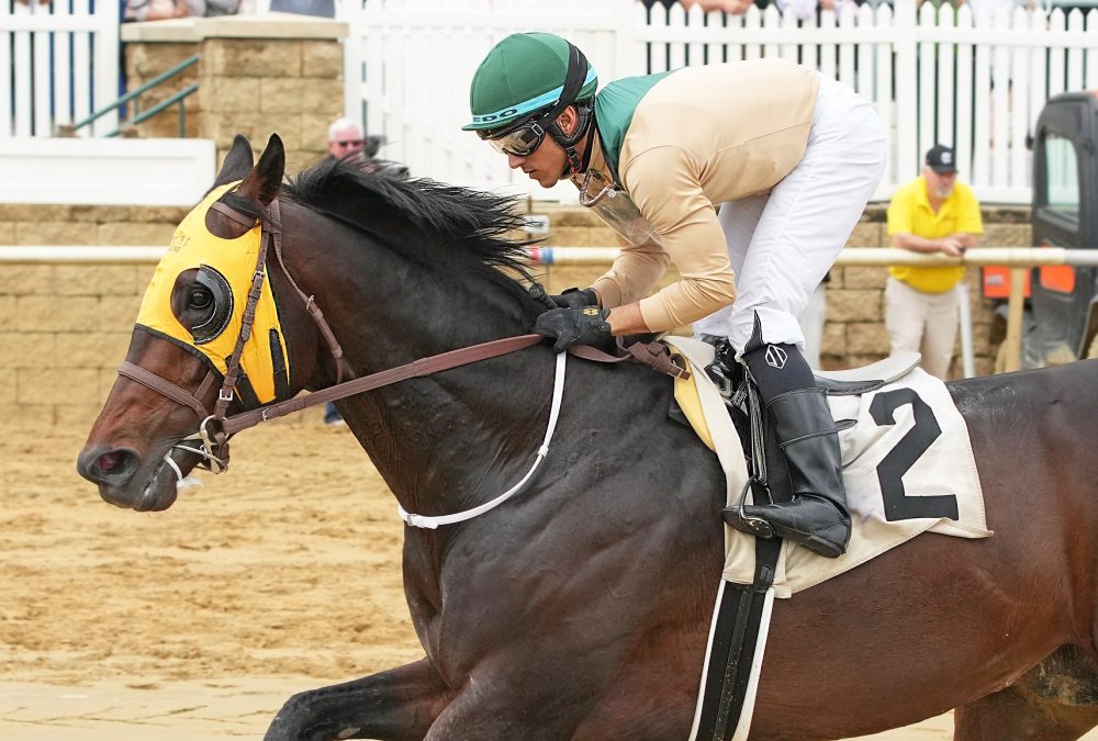 Nimitz Class - Native Dancer Stakes - Foto Jeff Snyder - Maryand Jockey Club