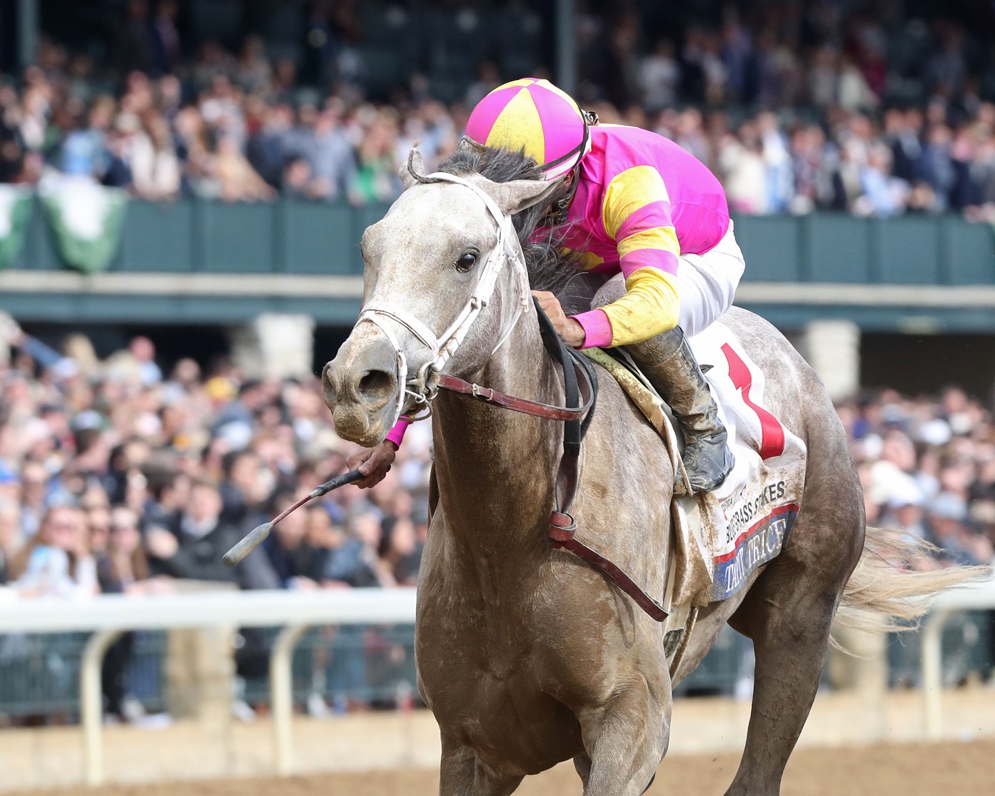 Tapit Trice superó a Verifying en el Blue Grass Stakes G1