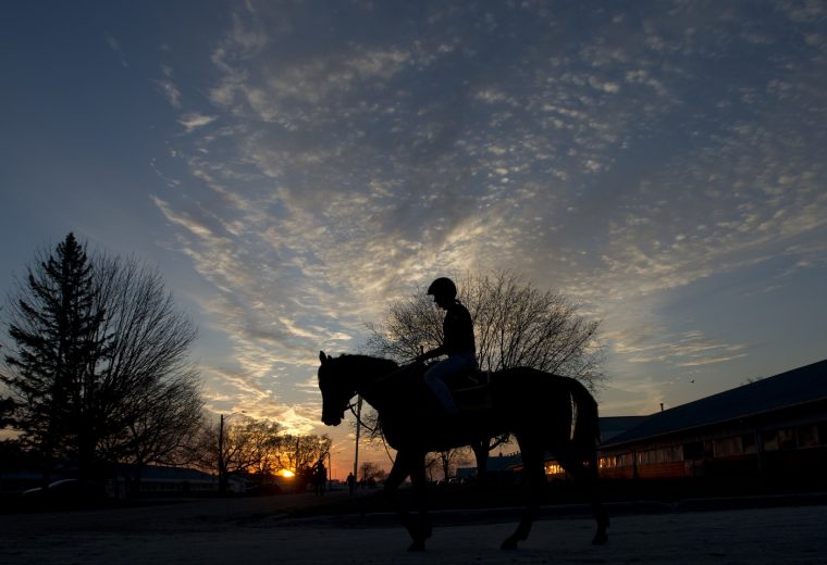 Toronto On.April 20, 2023.Woodbine Racetrack.Thoroughbred's train before sunrise in preperation for opening day at Woodbine Racetrack / Michael Burns Photo