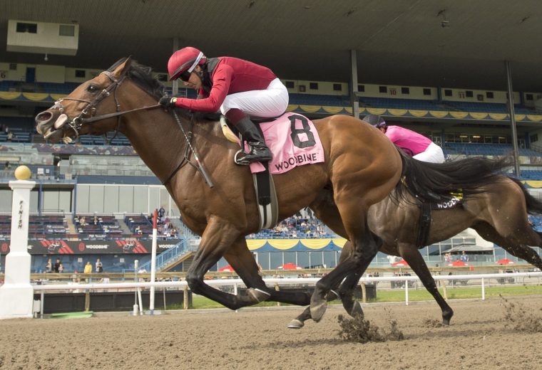 Anarchist - Woodbine - Jacques Cartier Stakes - Michael Burns foto